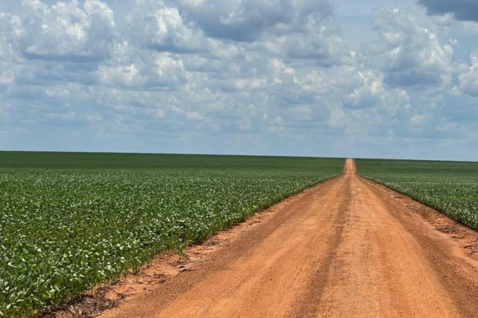 FAZENDA A VENDA MUNICIPIO DE NOVA UBIRATÃ. 